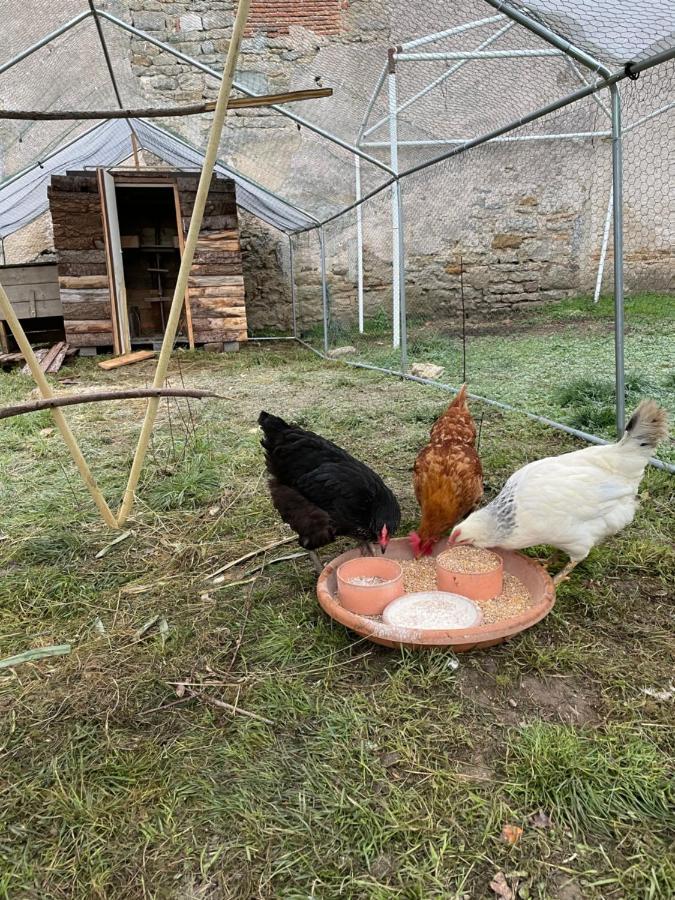 Moulin De Pras Panzió Sigy-le-Châtel Kültér fotó