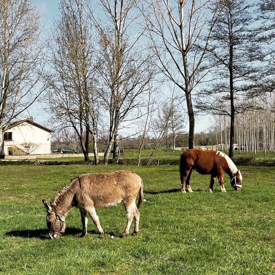 Moulin De Pras Panzió Sigy-le-Châtel Kültér fotó