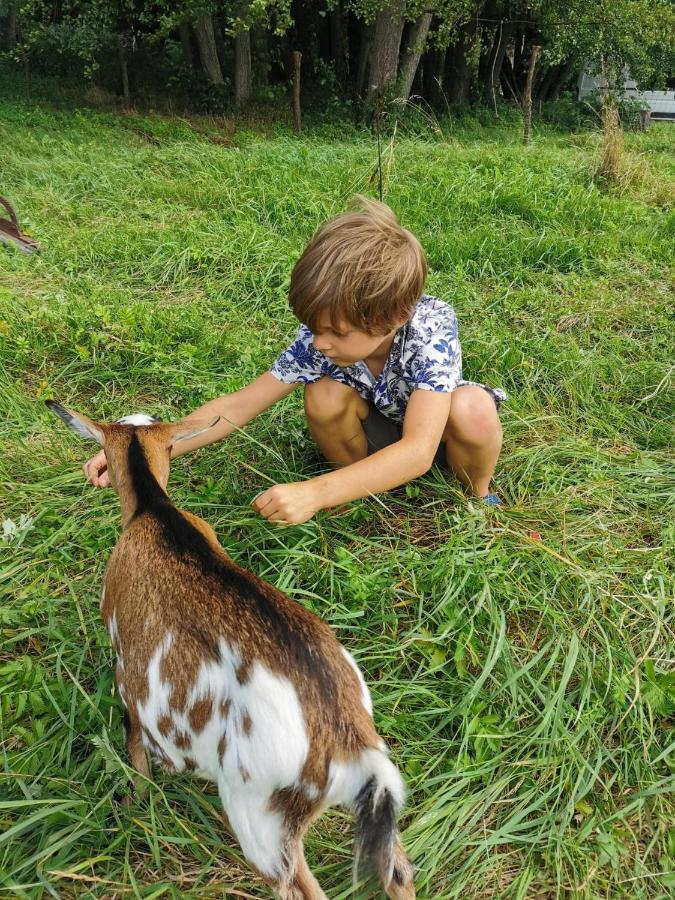 Moulin De Pras Panzió Sigy-le-Châtel Kültér fotó