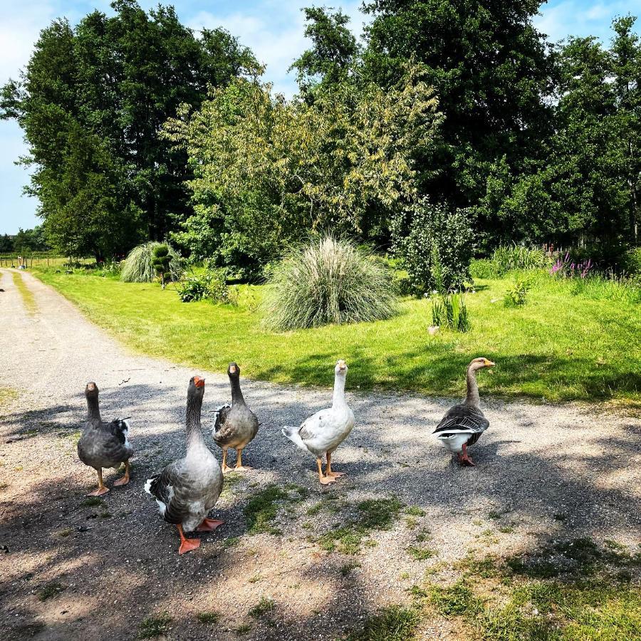 Moulin De Pras Panzió Sigy-le-Châtel Kültér fotó